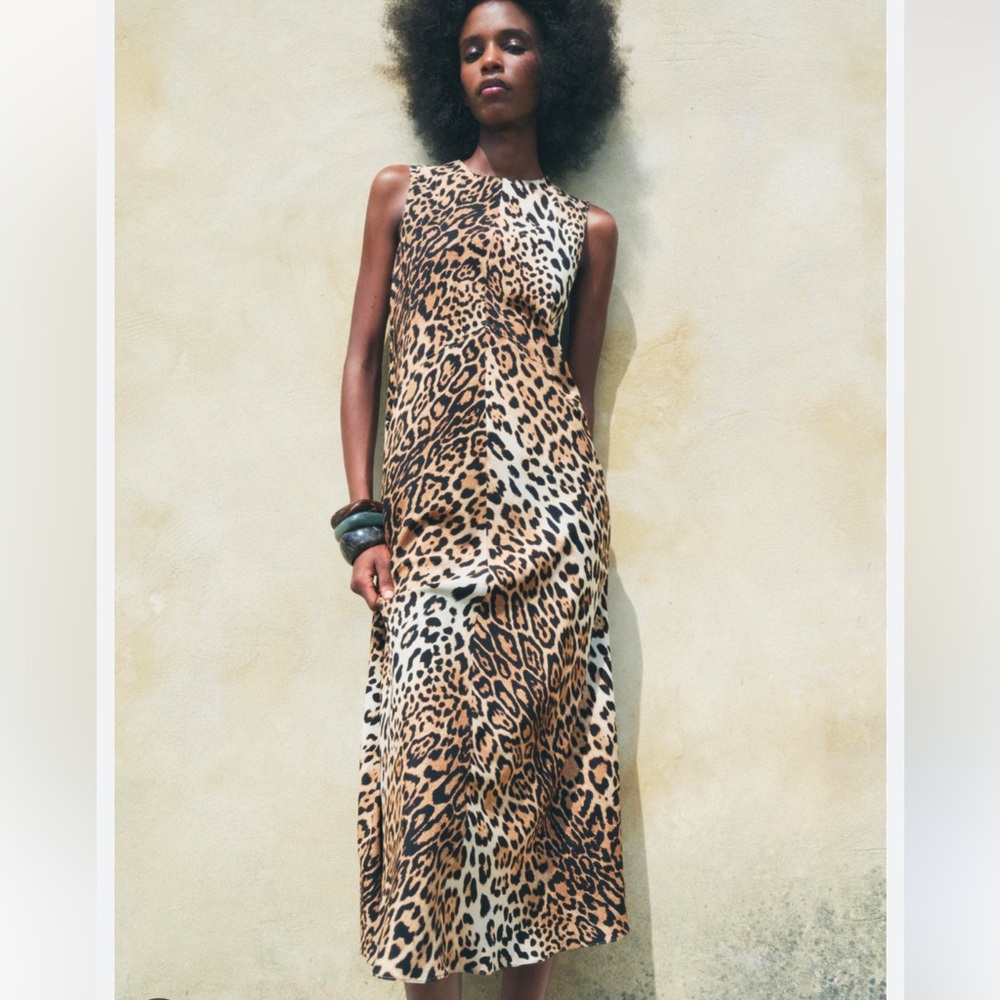 Zara Leopard Print Maxi Dress